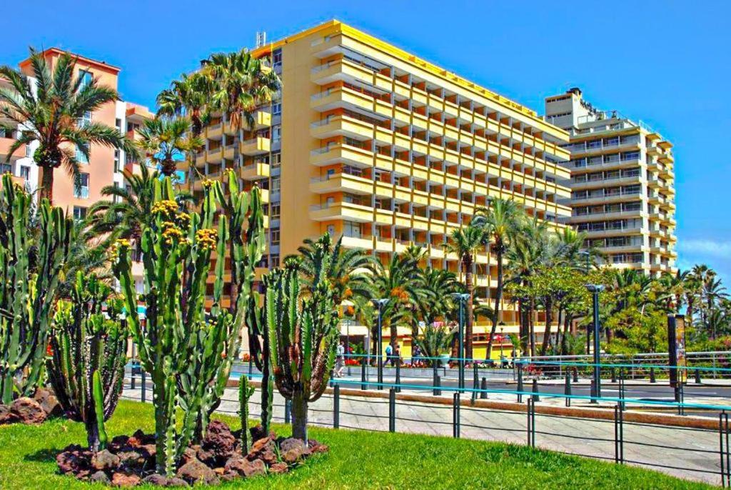 Amplio Estudio En Martianez Puerto de la Cruz  Dış mekan fotoğraf